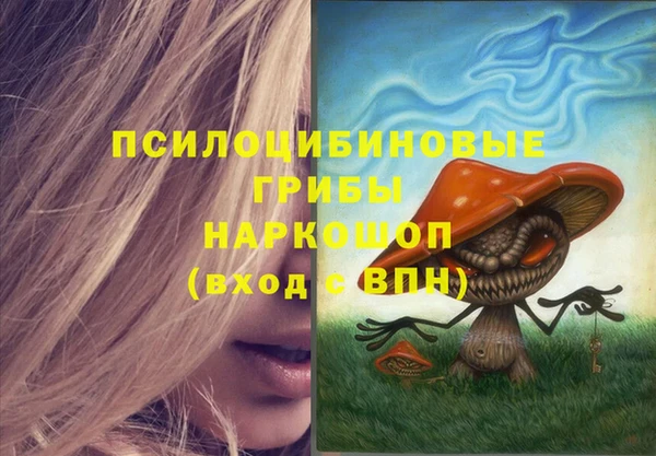 ПСИЛОЦИБИНОВЫЕ ГРИБЫ Арсеньев