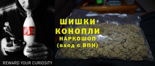 ПСИЛОЦИБИНОВЫЕ ГРИБЫ Арсеньев