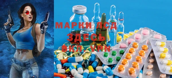 ПСИЛОЦИБИНОВЫЕ ГРИБЫ Арсеньев
