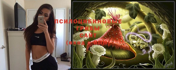 ПСИЛОЦИБИНОВЫЕ ГРИБЫ Арсеньев