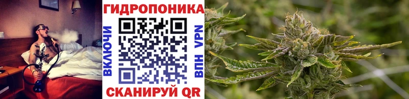 где продают   Сосенский  OMG рабочий сайт  Шишки марихуана OG Kush 